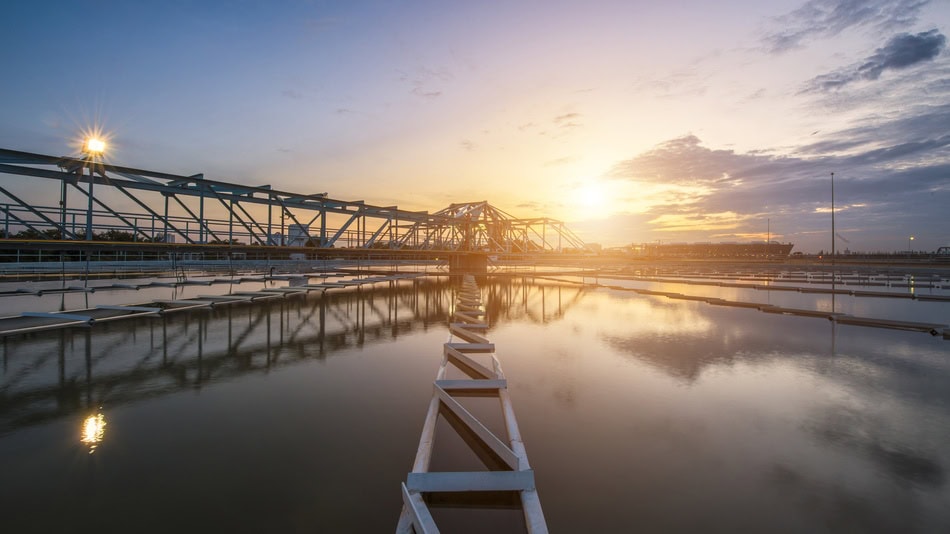 En la Bioeconomía la disponibilidad y calidad del agua es esencial