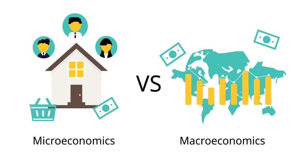 Ilustración concepto de diferencia entre microeconomía y macroeconomía 