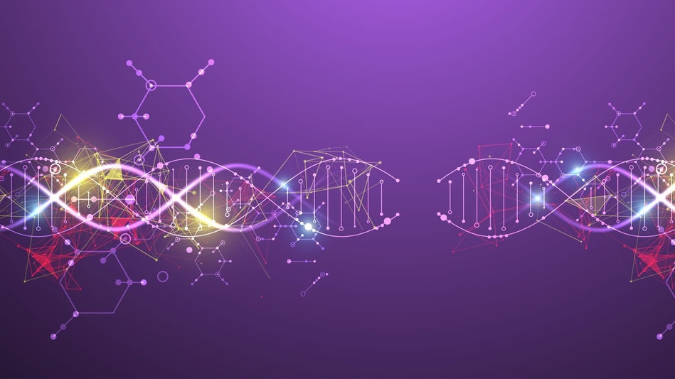 Una de las áreas que estudia la biología humana es la genética