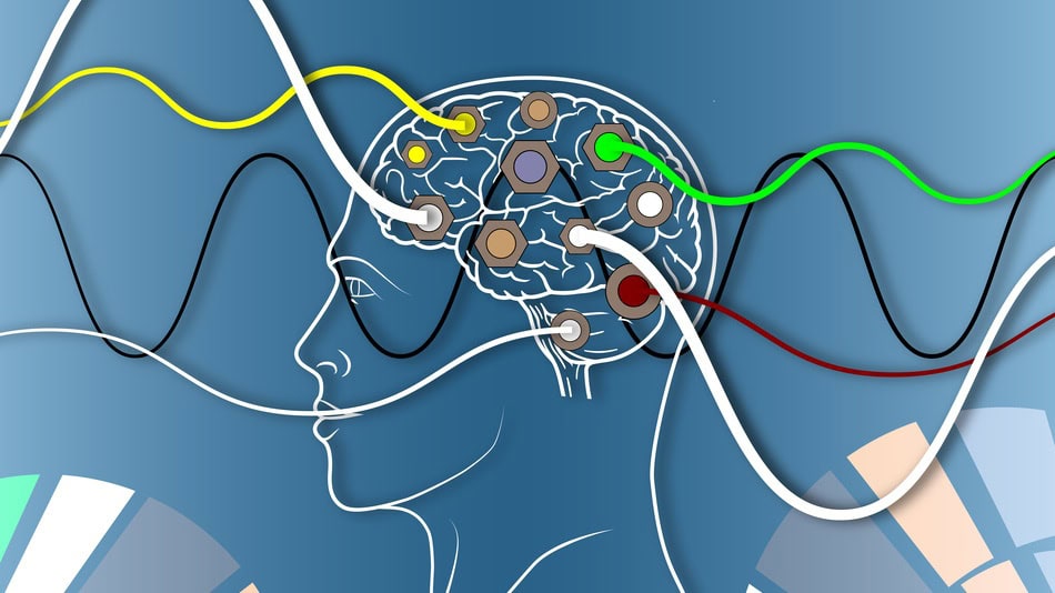 La aplicación de la psicometría tiene diferentes vertientes y dos de las más comunes en la actualidad son en educación y en el ámbito laboral, para recursos humanos