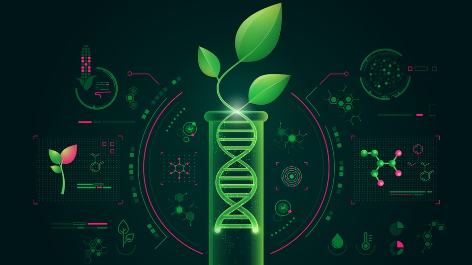 Las aplicaciones de la bioestad&iacute;stica en el &aacute;mbito de la investigaci&oacute;n en salud son variadas