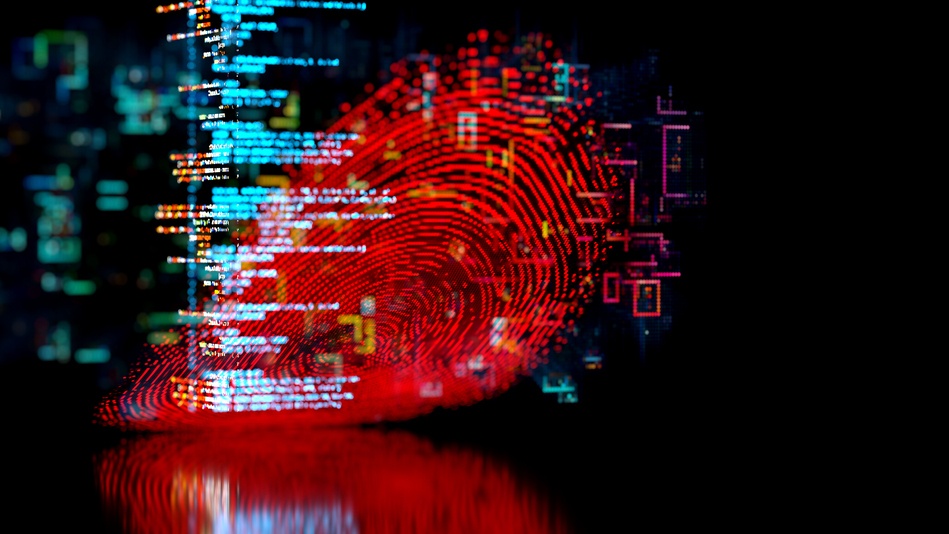 Se puede deducir que el ciberterrorismo tiene una motivaci&oacute;n pol&iacute;tica, ideol&oacute;gica o religiosa