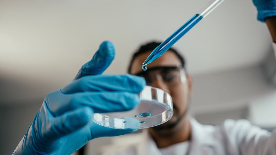 La bioquímica es una de las ramas de la ciencia que se encarga del estudio de la composición de los seres vivos a nivel molecular