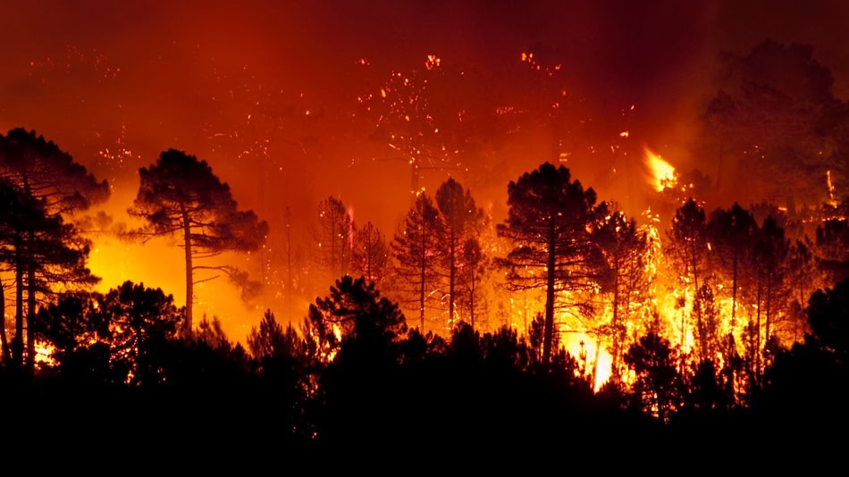 Las consecuencias del ecocidio están enmarcadas como un crimen debido a que estos actos destruyen el medio ambiente
