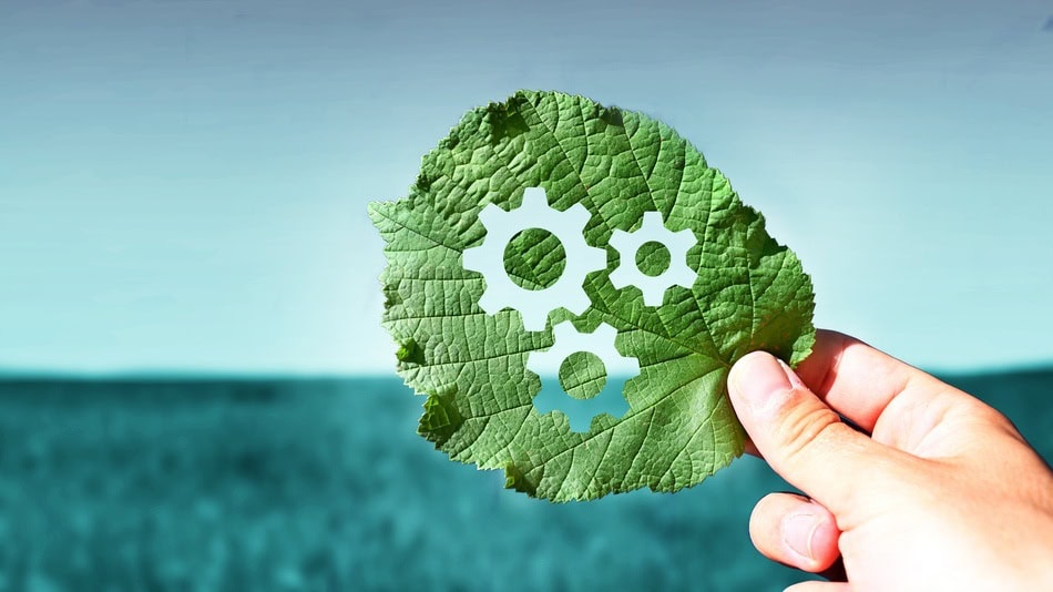 Los errores comunes de los emprendedores en aspectos de sostenibilidad se debe a diferentes factores