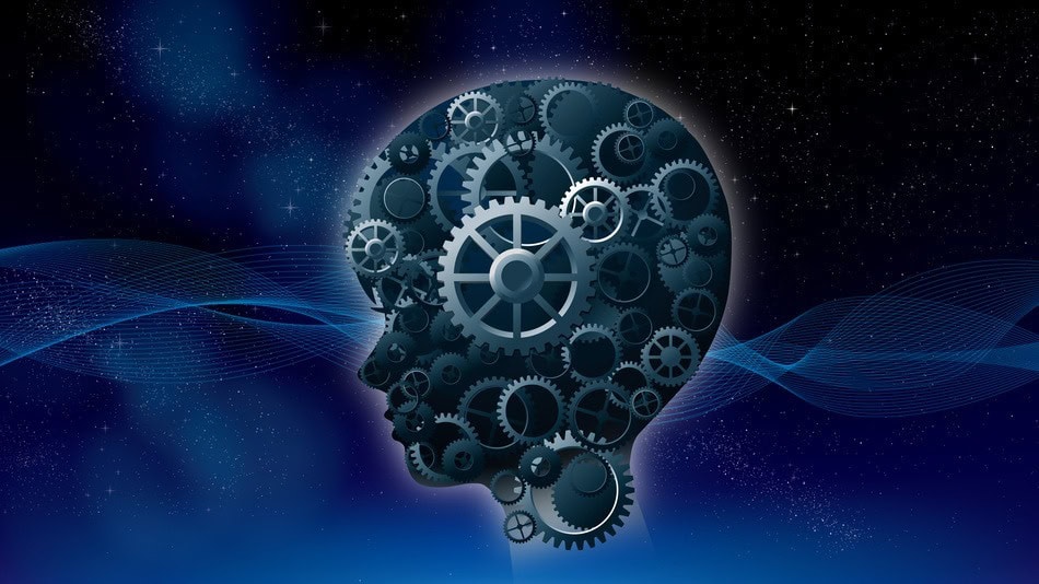 Neuroeducaci&oacute;n es una disciplina que estudia las aplicaciones del fen&oacute;meno educativo desde una perspectiva que incluye la neuropsicolog&iacute;a