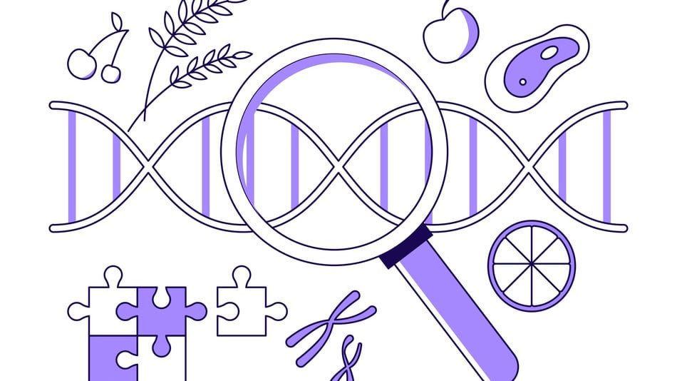 Ilustraci&oacute;n concepto de Nutrigen&oacute;mica