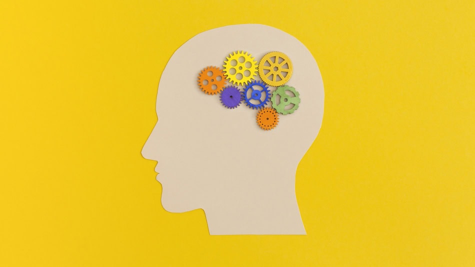 Las salidas profesionales de la especializaci&oacute;n en neuropsicolog&iacute;a son excelentes