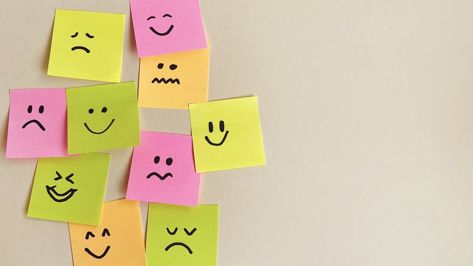 El profesional que cuenta con una especializaci&oacute;n en inteligencia emocional cuenta con un perfil espec&iacute;fico