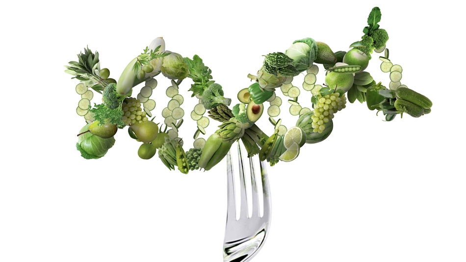 uno de los programas de alimentaci&oacute;n personalizada basados en evidencia cient&iacute;fica es la Nutrigen&eacute;tica