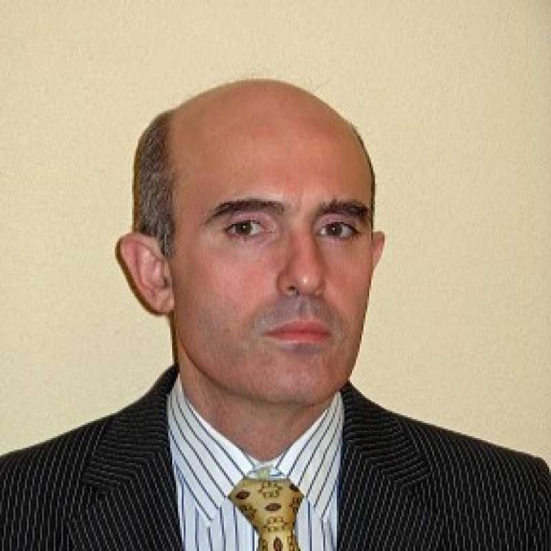 Antonio Evaristo Gudín Rodríguez-Magariños, Docente UNIR