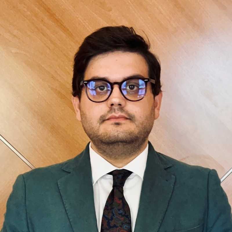 Carlos Babiano Mendoza, Colaborador