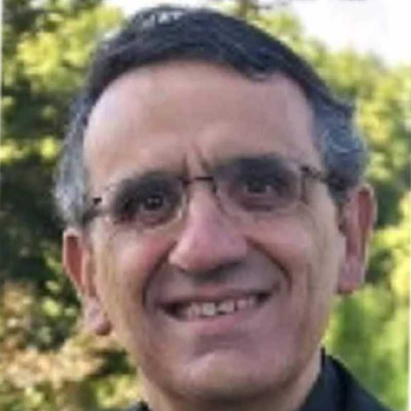 Carlos Soler Ferrán, Docente UNIR