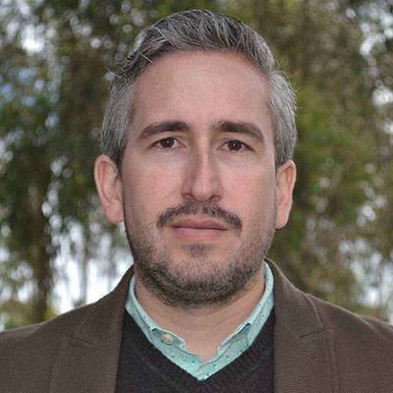 Daniel Alberto Barragán Terán, Experto asociado