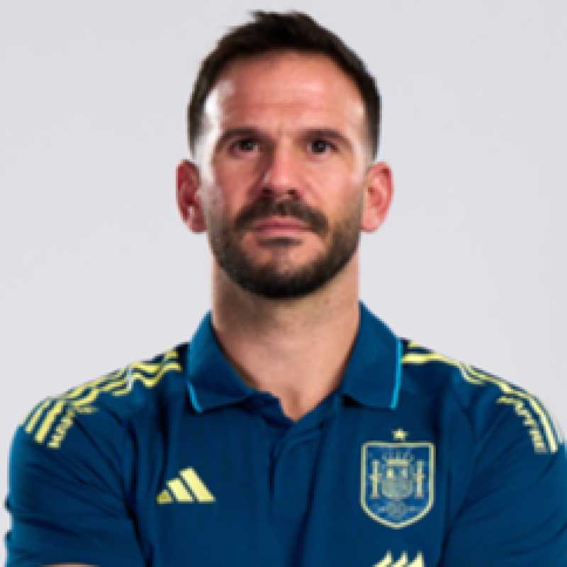 Eduardo Caro Balada, Experto Asociado