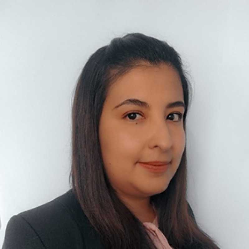 Eimy Alejandra Castañeda Panqueba, Docente UNIR