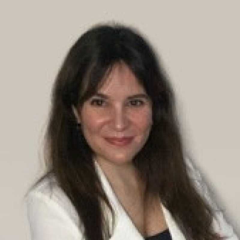 Elena Davara Fernández de Marcos, Experta asociada
