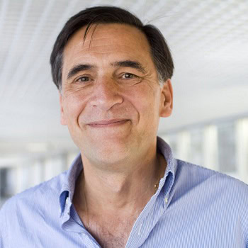 Francisco Reinoso Barbero, Docente UNIR