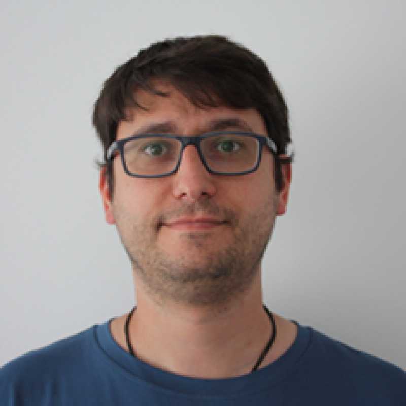 Gino Alfredo Albareti, Docente UNIR