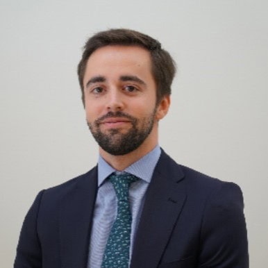 Guillermo Avilés Suárez, Experto asociado