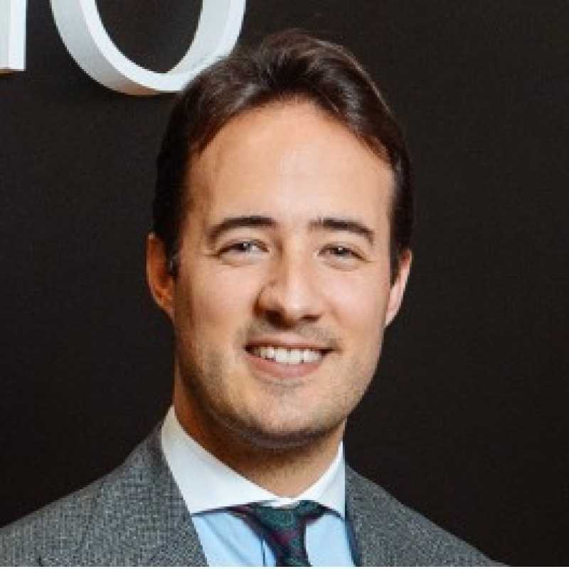 Guillermo Hidalgo Viedma, Experto Asociado