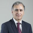 Guillermo Martínez Yuste, Experto asociado