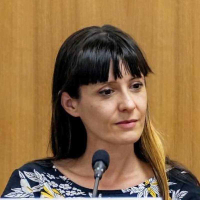 Isabel Cuéllar Flores, Experta asociada