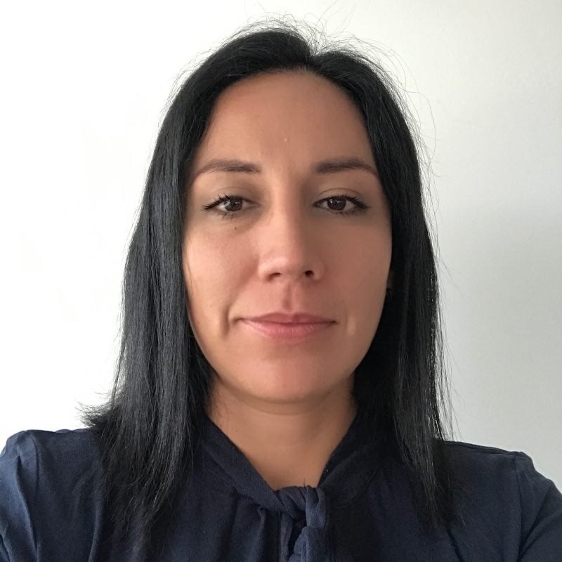 Karen Eliana Angarita Casas, Coordinadora académica