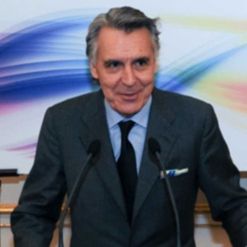 Luis Felipe Fernandez de la Peña, Experto asociado