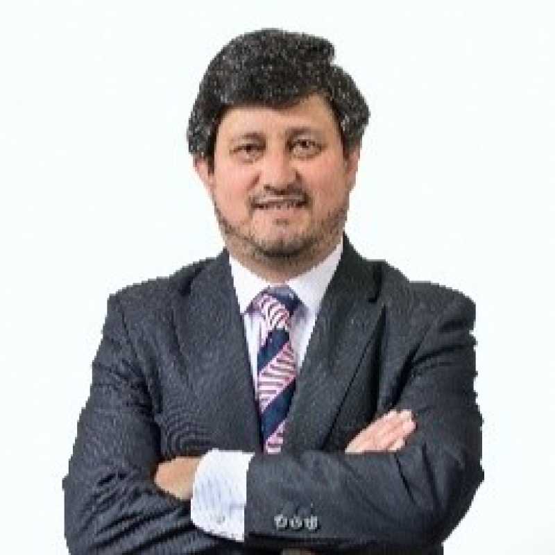 Luis Seguí Amórtegui, Docente UNIR