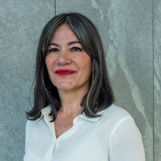 María del Carmen Arenas Carbellido, Profesor