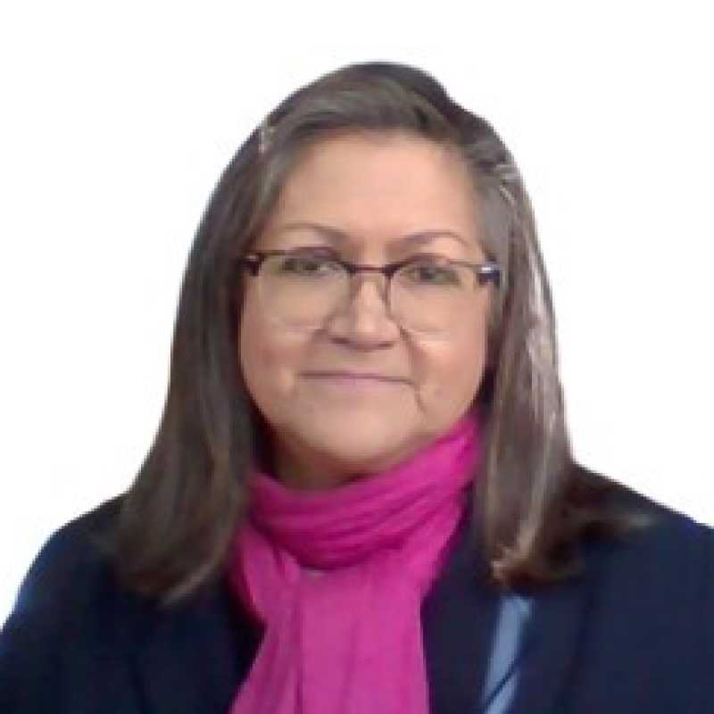 María Guadalupe Juárez Cabañas, Experta asociada