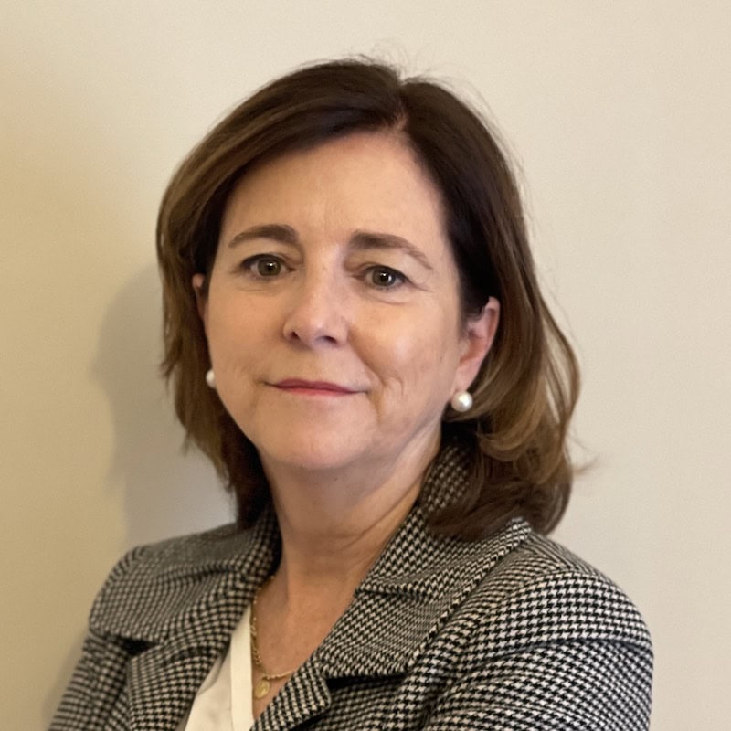 María José Nestares Pleguezuelo, Docente UNIR