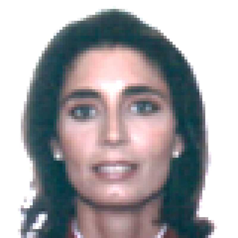 María Luisa Fernández de Soto Blass, Docente UNIR