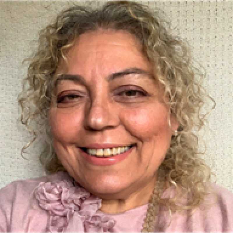 María Pilar Llopis Amorós, Docente UNIR