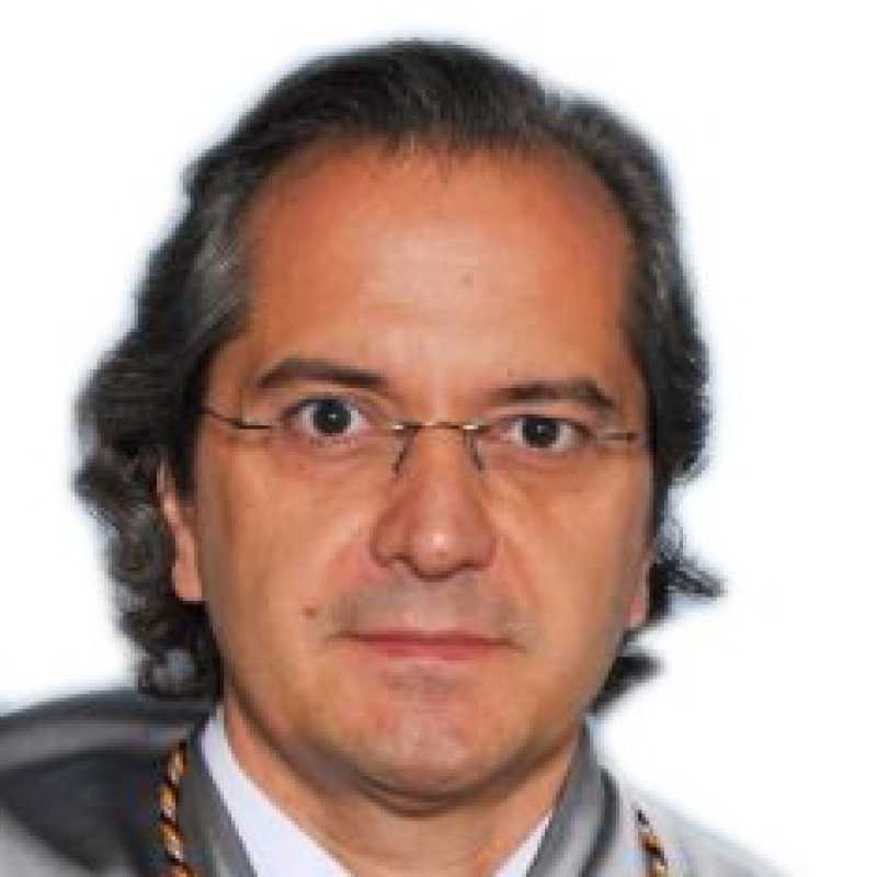 Miguel Ángel Poveda Criado, Docente UNIR