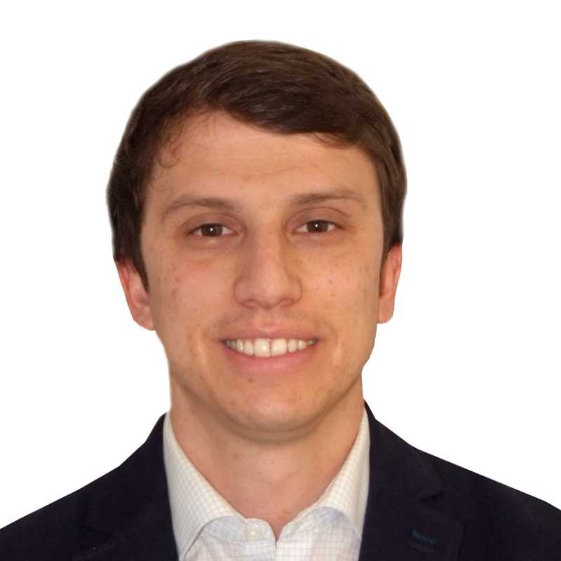 Pablo Del Castillo Iranzo, Experto asociado