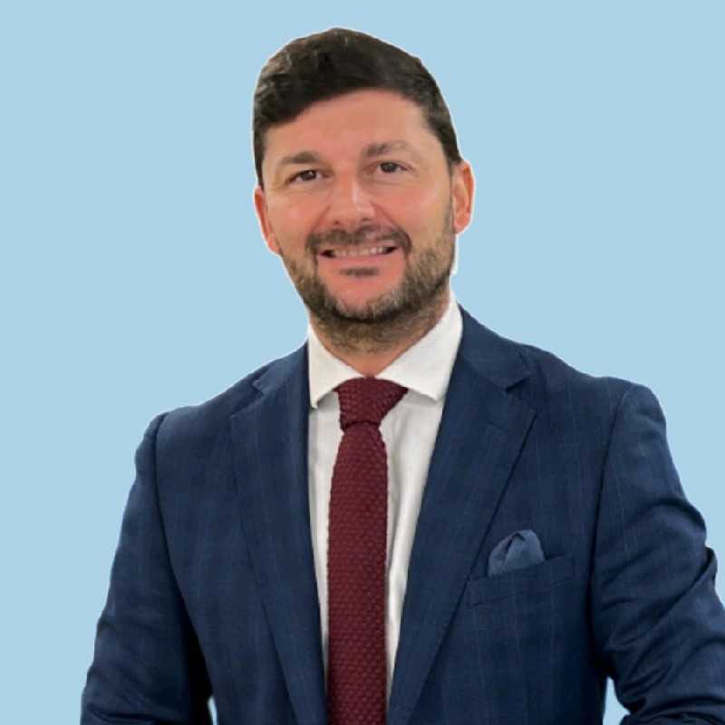 Patxi Xabier Castaños Gil, Experto asociado