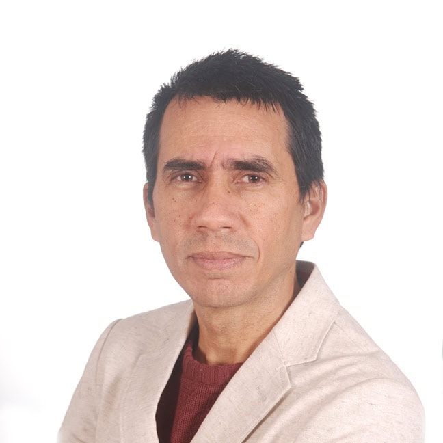 Rafael Guzmán Barrios, Docente UNIR