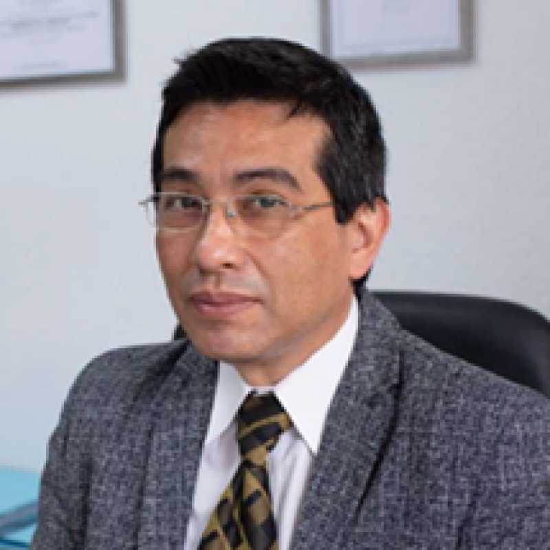 Raúl Arturo Hirakawa Andia, Experto asociado