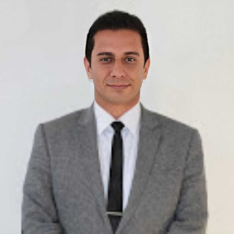 Raul Fabian Cadena Vidal, Docente UNIR