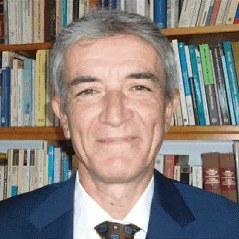 Román Castro Alcaide, Docente UNIR