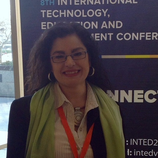 Roxana Beatriz Martínez Nieto, Docente UNIR