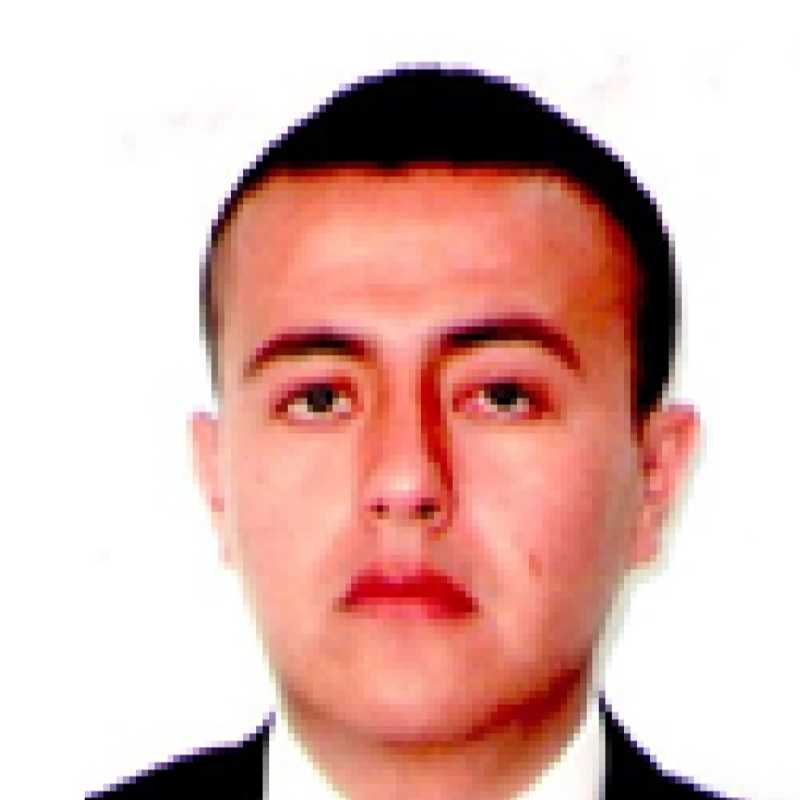 Rubén Escobedo Cabello, Experto asociado