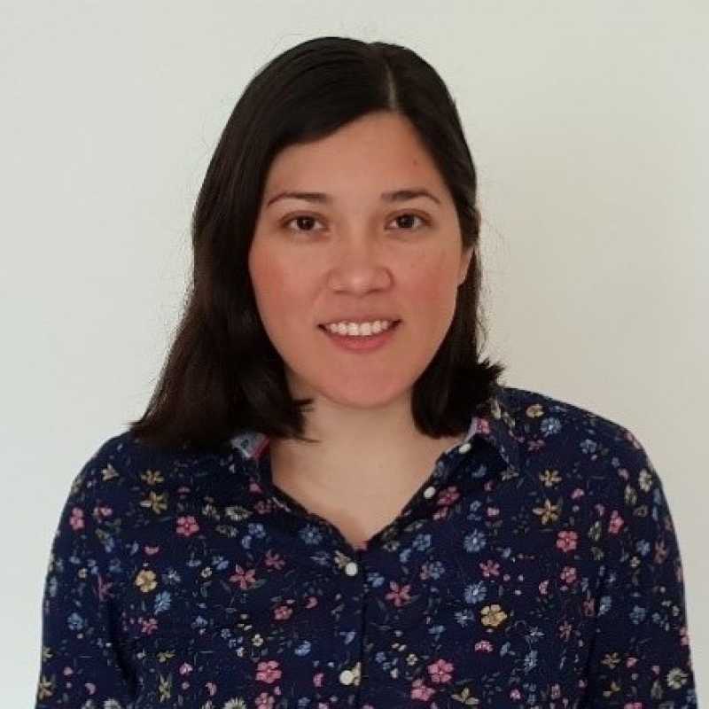 Rubí Alejandra Medina Mijangos, Docente UNIR