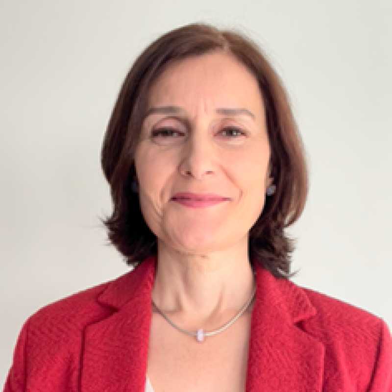 Selma Serrano Girau, Experta asociada